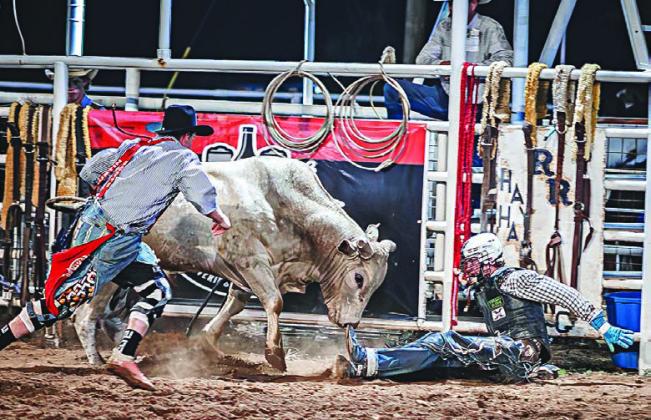 GOOD THING HE WAS WEARING A HELMET. Bullrider and bull stare down eachother and the bulfighter runs to the rescce. (PHOTO BY TRICIA HURT)