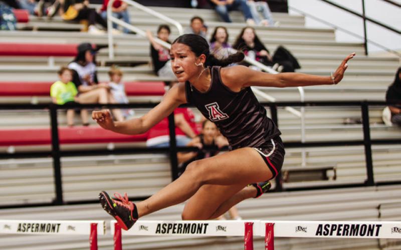 ELITE 6 AREA ATHLETES COMPETING AT UIL STATE TRACK &amp; FIELD MEET