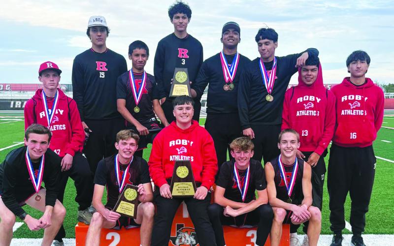 District 14 Runners Up Roby Lions. COURTESY PHOTO