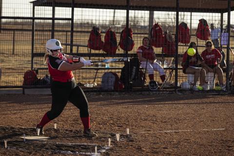 Lady Hornet Softball falls in Home Opener to Albany