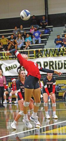 Lady Hornets' season ends with loss to Buena Vista