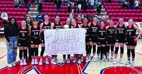 Lady Hornets finish the season as Area Champions