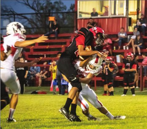 Hornets beat the Raiders 60-12