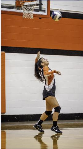 Lady Hammers Vollyball