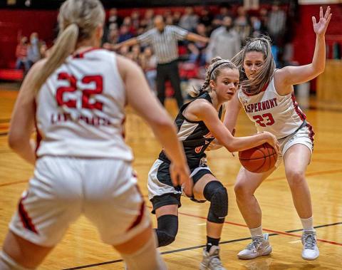 Roby Lions suffer tough loses during district games last week