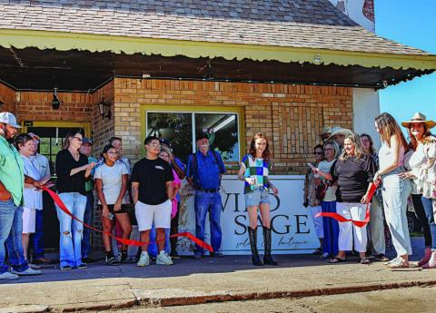 Wild Sage Salon & Boutique Blossoms in Downtown Rotan