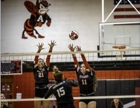 Lady Hornets Vollyball