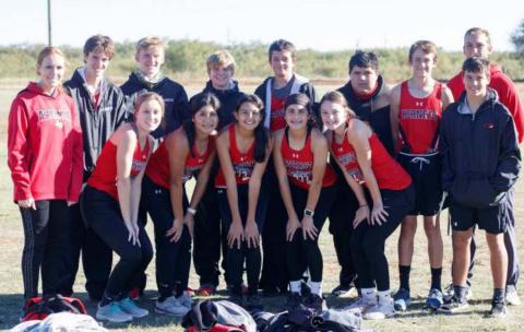 District Cross Country Results