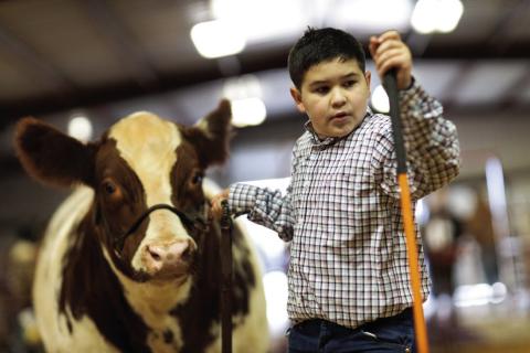 ROTAN 2024 STOCK SHOW RESULTS