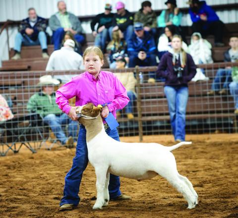 Pictured above Madison Elrod