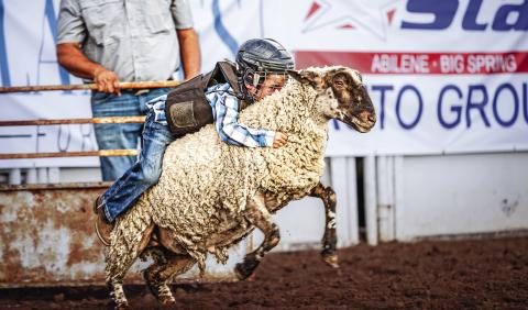 TEXAS GOES BIG. FISHER COUNTY GOES BIGGER