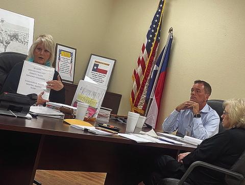 SMHD Board of Directors President Ellen Abernathy discusses the need to amend the distirct's bilaws and provide for better board education.