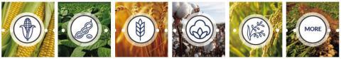 USDA Plants Seeds of Relief with $10B ECAP Program