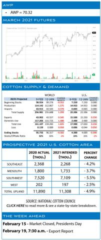 weekly market report
