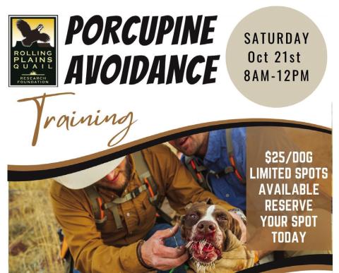 Porcupine Avoidance Training set for Saturday, October 21