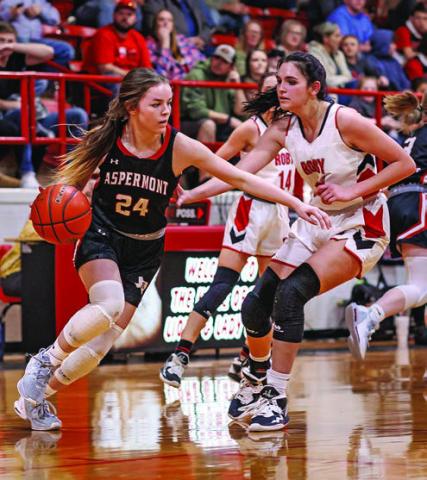 Aspermont's Shelby Martin fights to get around Roby's Mackenzie Castillo during the Lady Hornets 30-34 loss to the Lady Lions last Friday night. The Lady Hornets finish 2nd in District and will enter the playoffs with game information to be determined. PHOTO BY: TRICIA HURT.