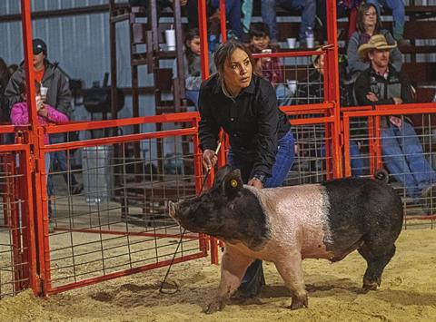 Zoe Flores was sure to keep her eyes on the judge during last year's local show.