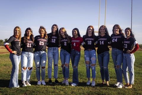 Lady Hornet Varsity Volleyball L- R: Kelly Lowack Alexus Garcia, Peyton Calamaco, Jessi Rabel, Mylee Van Meter, Leah Salazar, Tatum Polk, Shelby Martin, Georgia Fraser, Addi Shugart.