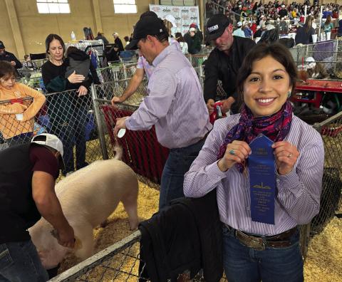 Fisher County 4-H brings home ribbons from Ft. Worth and San Angelo Stock Shows