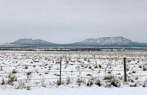 First snow-day of 2021