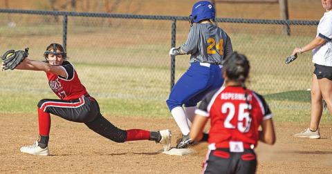 Lady Hornets defeat Trent 15-1