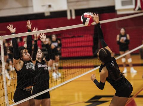 Aspermont Lady Hornet Volleyball