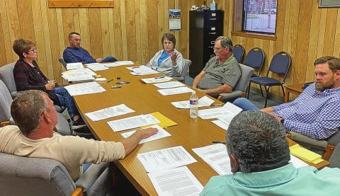 Councilwoman Marla McCoy presents arguments to her fellow council members that while establishing minimum standards for structures in the community might be difficult, the council owes it to its citizens to at least try.