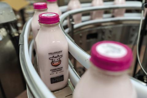 The Volleman family has operated their dairy farm in Gustine since 1993. (Texas A&amp;M AgriLife photos by Michael Miller)