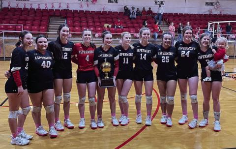 District Champion Aspermont Hornets L-R: Addi Shugart, Mckayla Daniel, Jessi Rabel, Tatum Polk, Kelly Lowack, Maddi Polk, Shelby Martin, Peyton Calamaco, Georgia Fraser, Mylee Van Meter, Coley English.