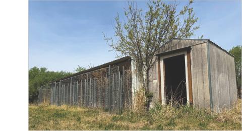 Rotan City Dog Kennels still await fence repairs in order to legally house stray animals.