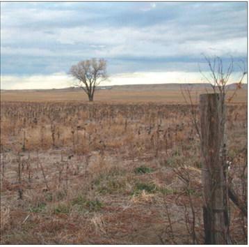 From forecasts to faucets: How fall weather impacts our water supply