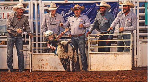 Sheep, chaps & Cowboy hats!