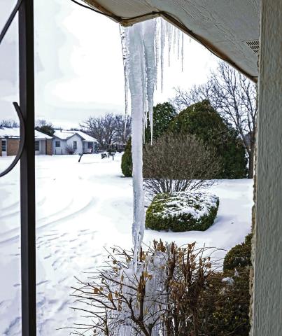 Norma Cave’s Porch Popsicle Might Win the Winter of ’26