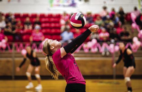 Lady Hornets sting Vernon Northside on Pink Out/Senior Night