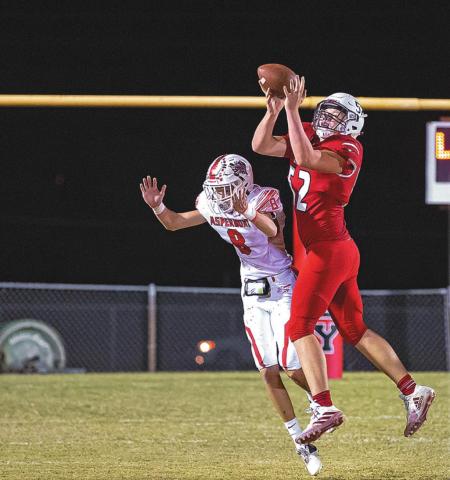 Lions dominate Hornets 62-13