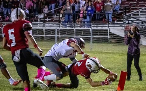 Cardinals take Lions to remain undefeated