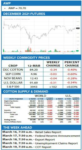 Cotton Choice Market Review