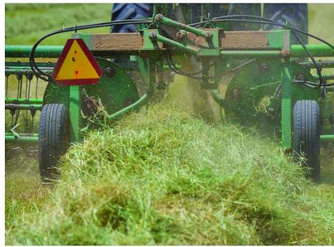 Yields look promising as baling is starting on the first crop of hay across Central and East Texas. (Michael Miller/Texas A&amp;M AgriLife)