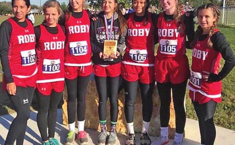 Lady Lions finish 4 th at State X-Country