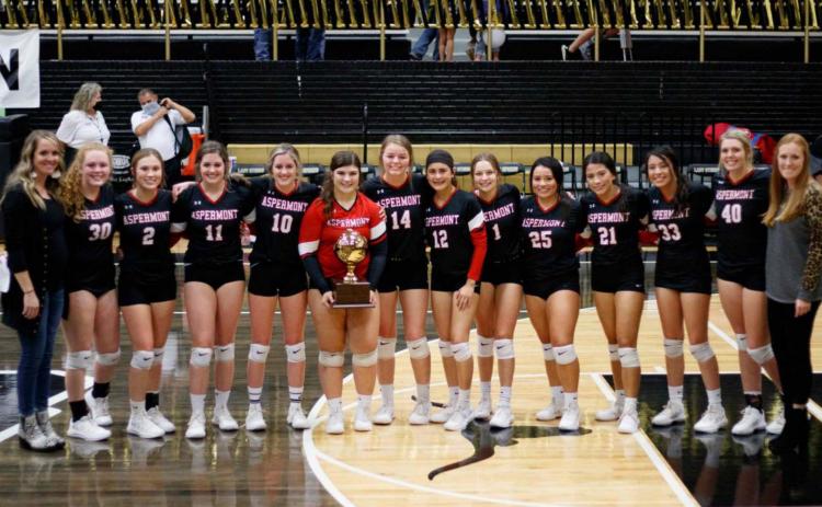 Lady Hornets win Area Championship