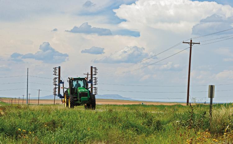 While the grass is greened up for grazing, farmers are hoping the rain lets up enough to get seeds in the ground. PHOTO BY TRICIA HURT