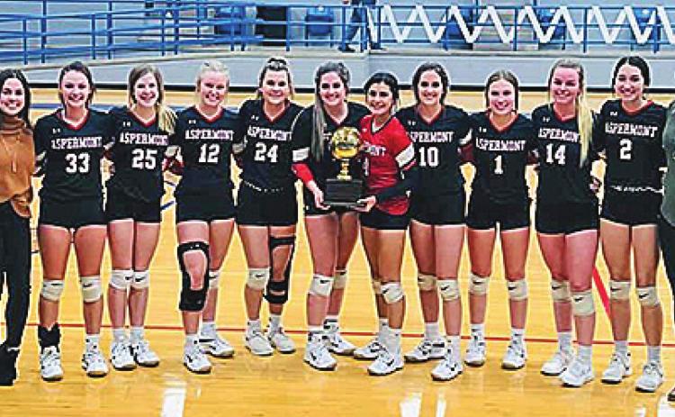 Lady Hornets capture Bi-District Title