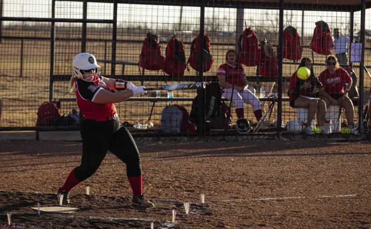 Lady Hornet Softball falls in Home Opener to Albany