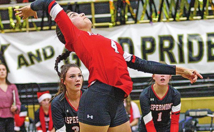 Lady Hornets' season ends with loss to Buena Vista