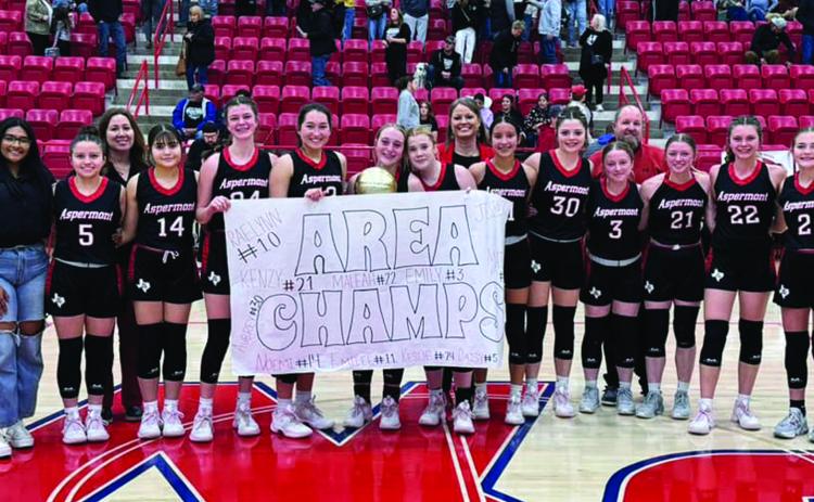 Lady Hornets finish the season as Area Champions