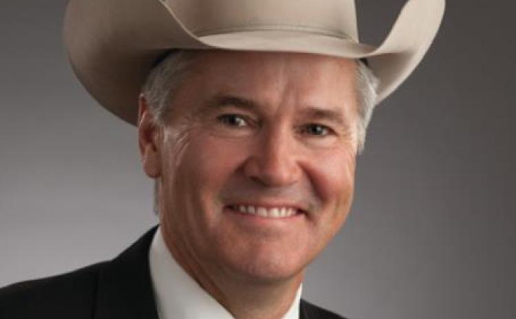 Cow-calf producers need better price discovery