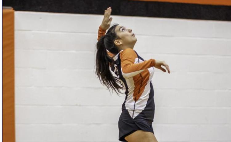 Lady Hammers Vollyball