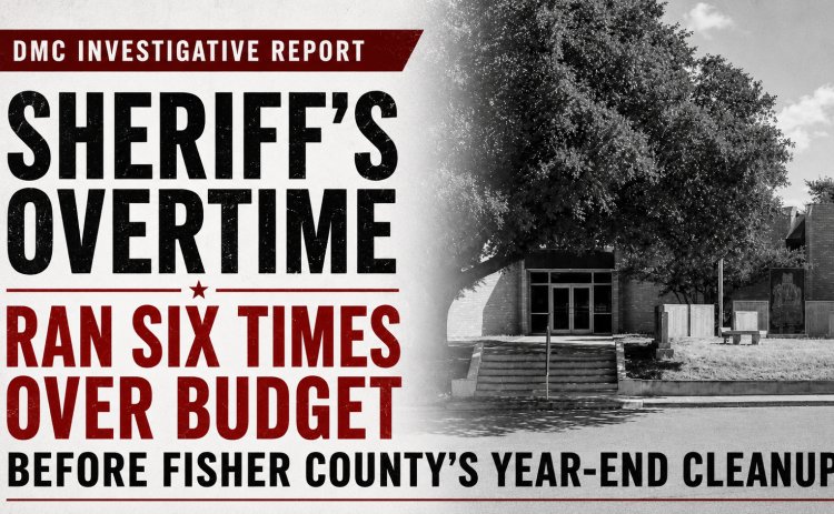 DMC Investigative Report - 