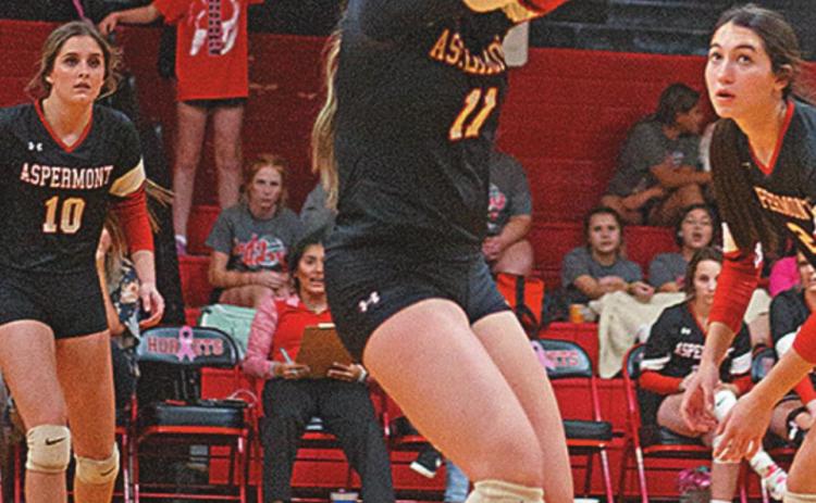 Senior, Celie Gentry bumps the ball during Tuesday's district win against Loop.