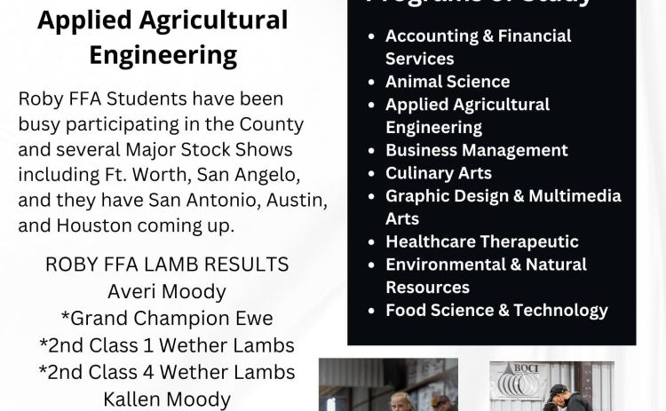 HONOR ROLL ACCOLADES